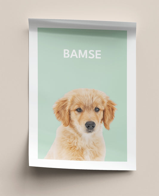 Bamse - Personlig poster