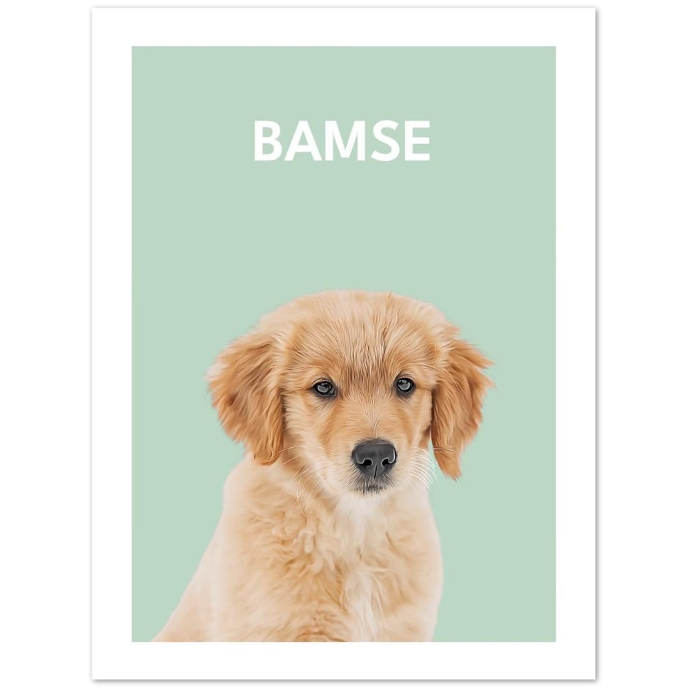 Bamse - Personlig poster